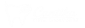 jasa pembuatan aplikasi cantika dental laboratorium